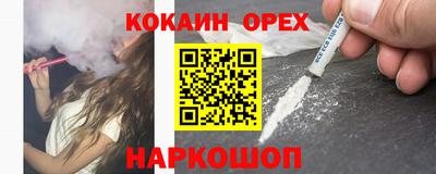 крисы Будённовск