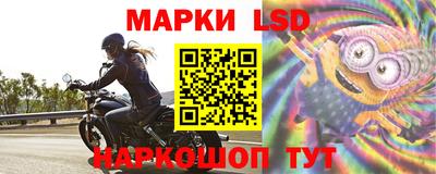 крисы Будённовск