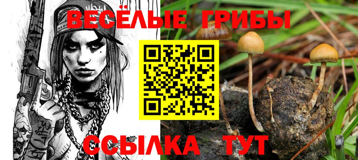 Псилоцибиновые грибы Cubensis  Вход с VPN  купить  сайты  Псилоцибиновые грибы Psilocybe  Ржев 